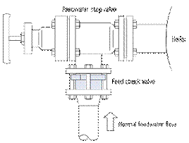 Figure of Feed check Valve