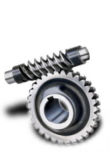 Wom and worm gear